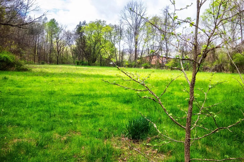 Gothard Street Sale Creek, TN 37373