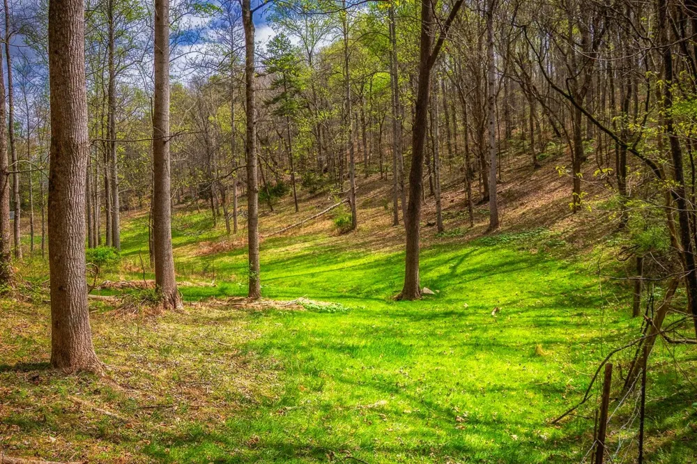 Gothard Street Sale Creek, TN 37373