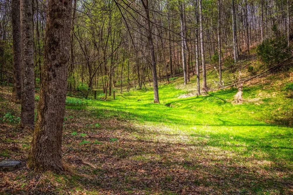 Gothard Street Sale Creek, TN 37373