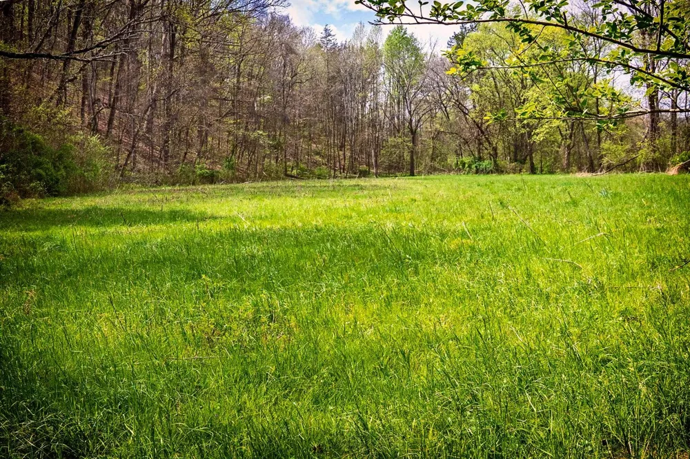 Gothard Street Sale Creek, TN 37373