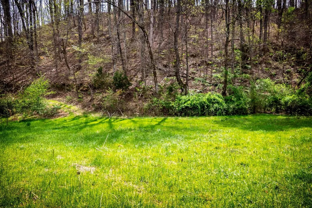 Gothard Street Sale Creek, TN 37373