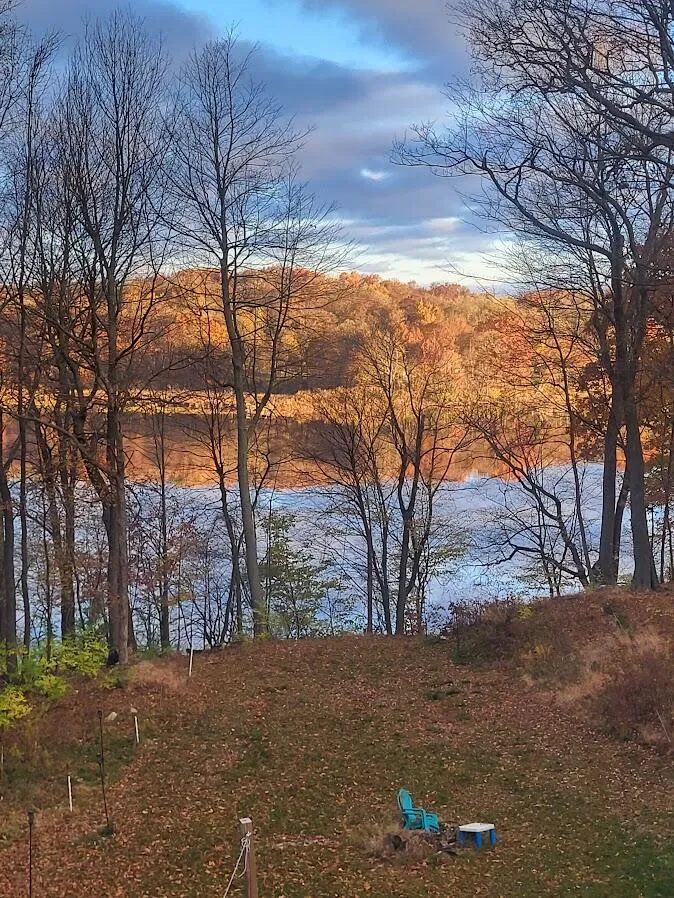 23536 Forest Shores Drive Cassopolis, MI 49031