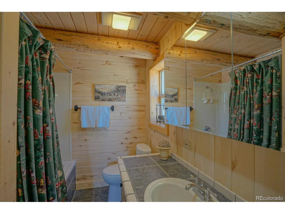 236 Mill Run Road Mosca, CO 81146