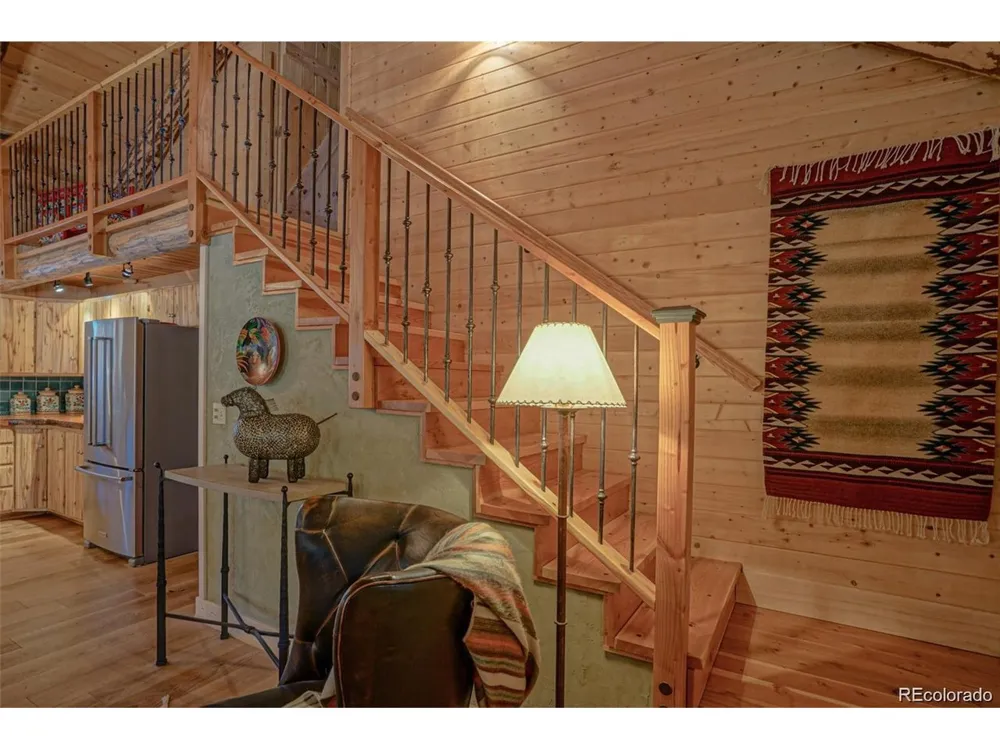 236 Mill Run Road Mosca, CO 81146