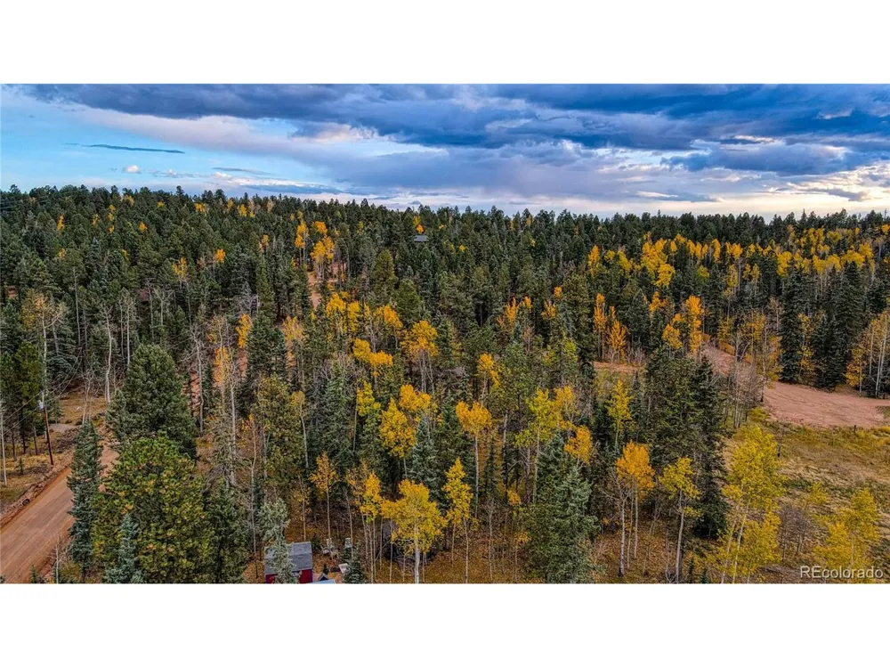 Address Not Shown Florissant, CO 80816