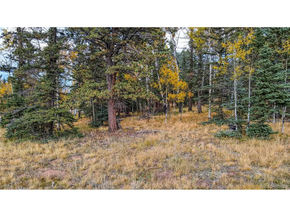Address Not Shown Florissant, CO 80816