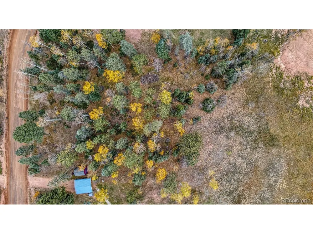 Address Not Shown Florissant, CO 80816