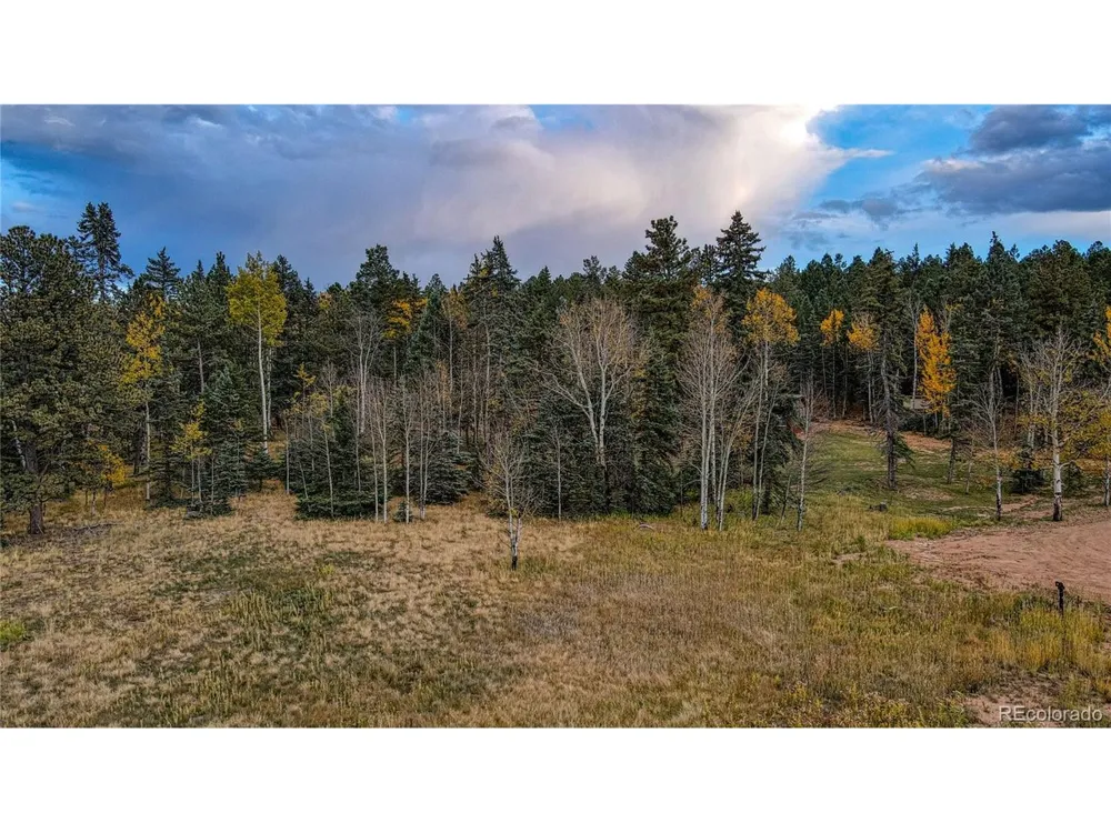 Address Not Shown Florissant, CO 80816