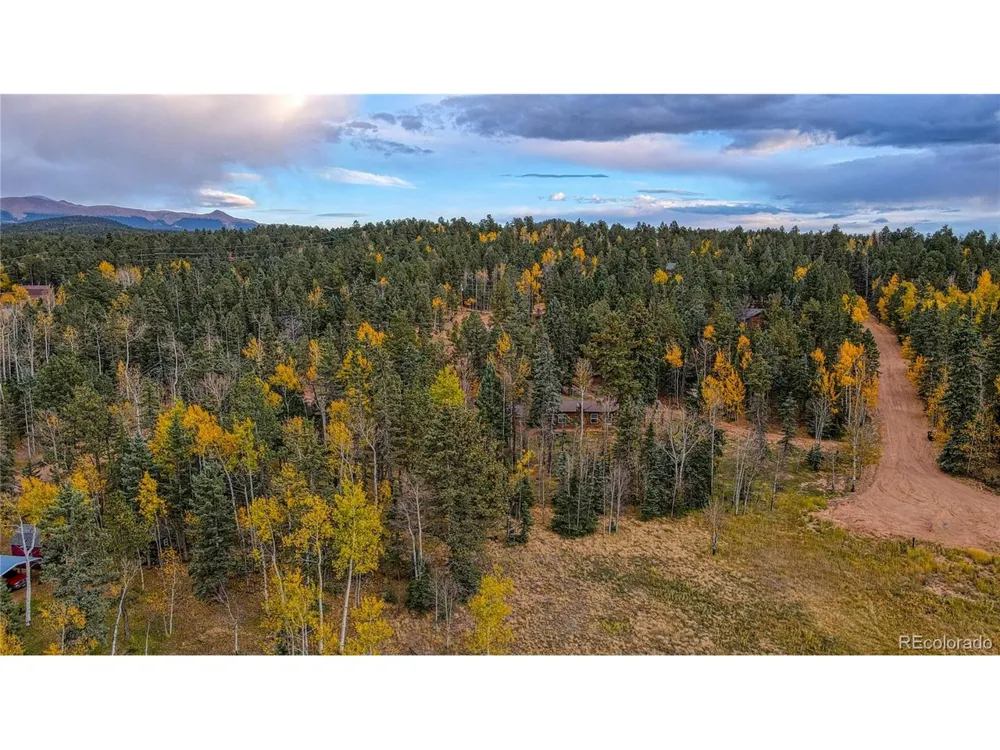 Address Not Shown Florissant, CO 80816