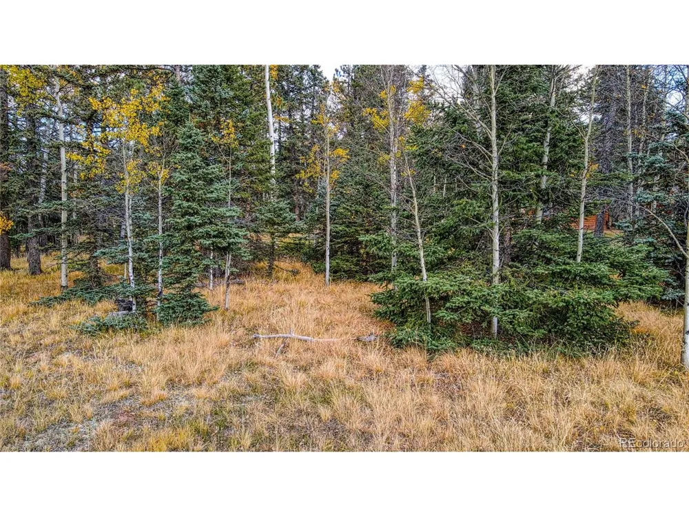 Address Not Shown Florissant, CO 80816