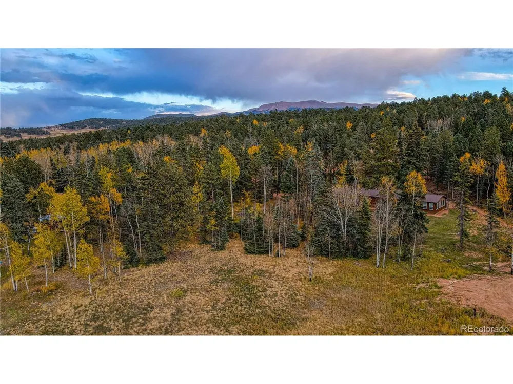 Address Not Shown Florissant, CO 80816