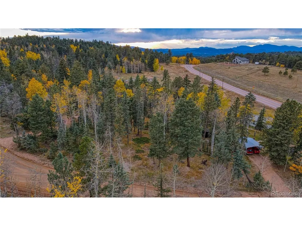 Address Not Shown Florissant, CO 80816