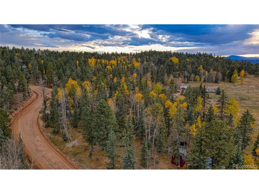 Address Not Shown Florissant, CO 80816