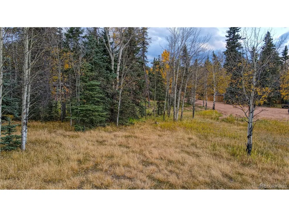 Address Not Shown Florissant, CO 80816