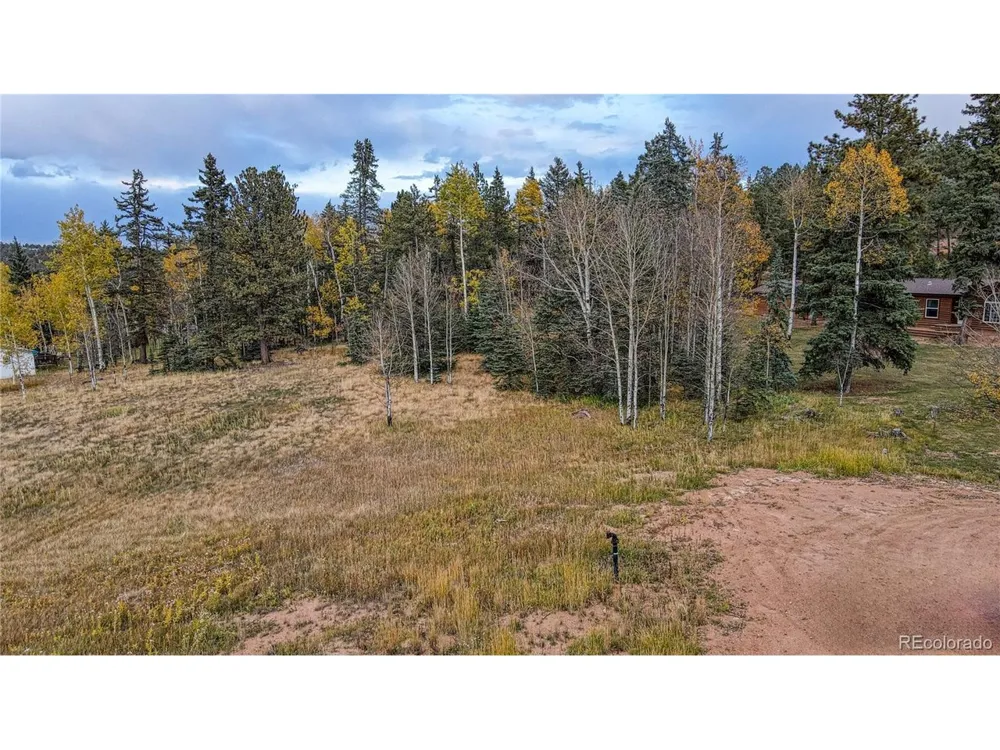 Address Not Shown Florissant, CO 80816
