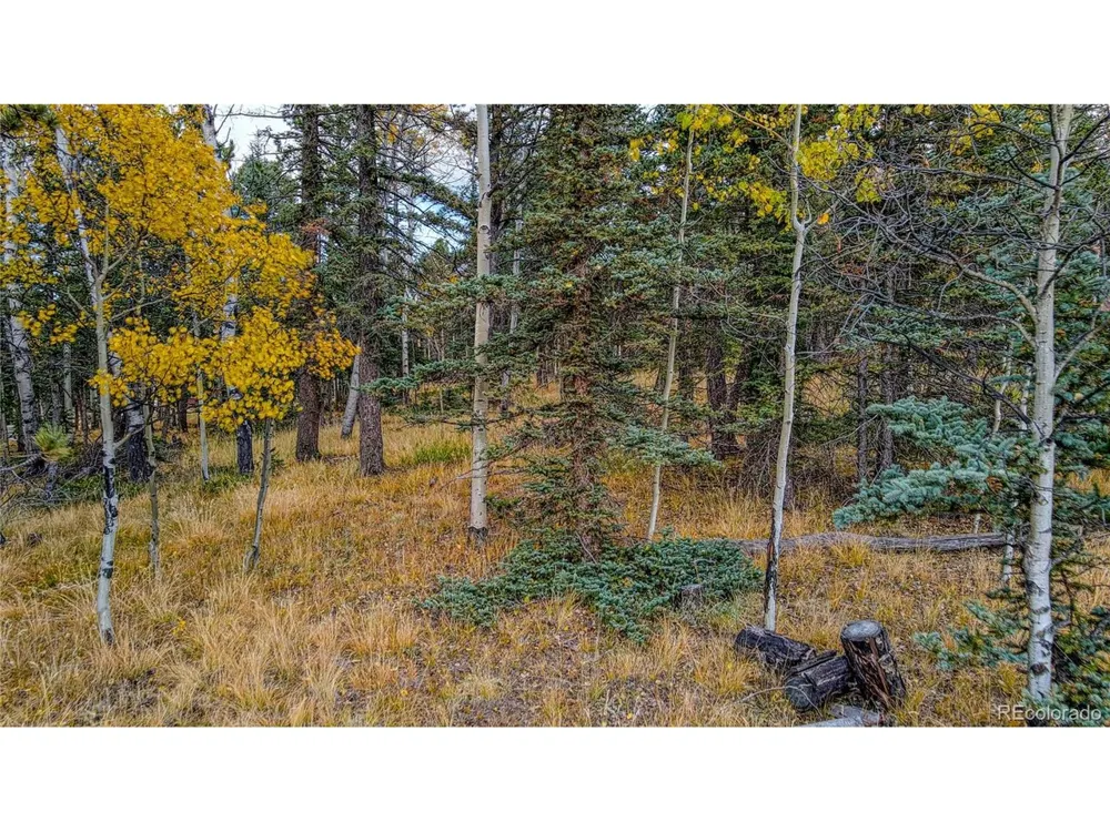 Address Not Shown Florissant, CO 80816