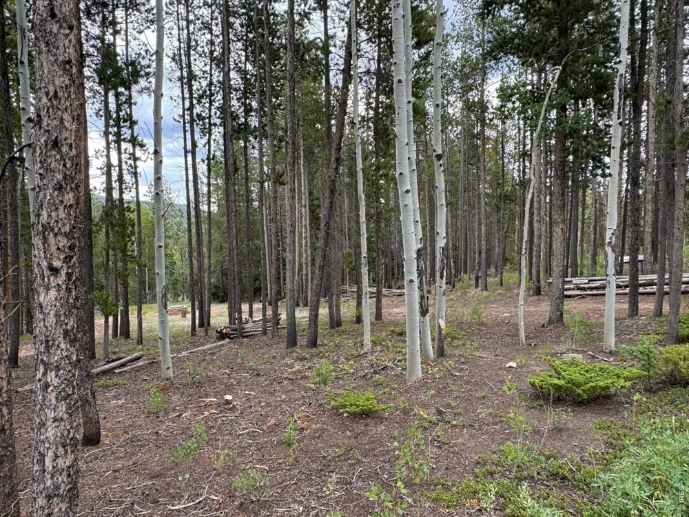 2581 Shoshoni Drive Red Feather Lakes, CO 80545