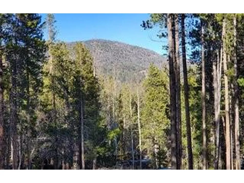 2581 Shoshoni Drive Red Feather Lakes, CO 80545