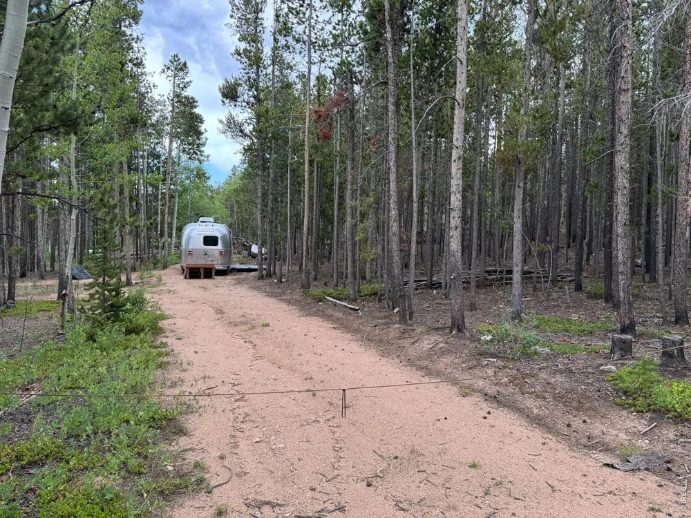 2581 Shoshoni Drive Red Feather Lakes, CO 80545