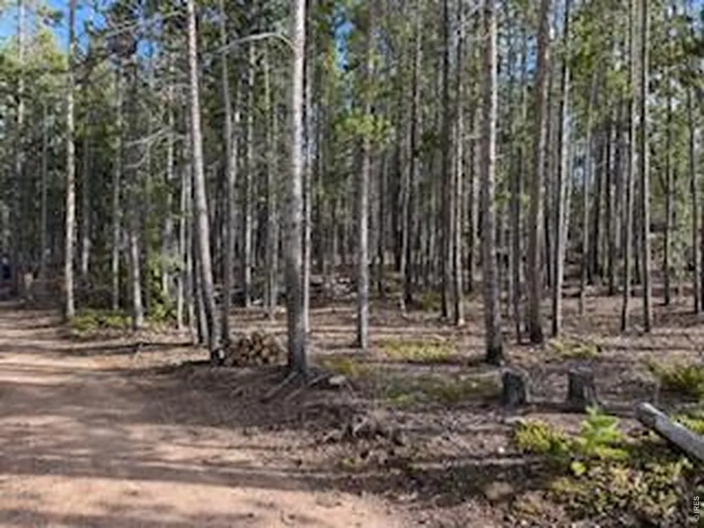 2581 Shoshoni Drive Red Feather Lakes, CO 80545