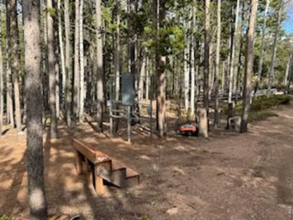 2581 Shoshoni Drive Red Feather Lakes, CO 80545