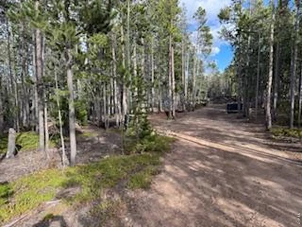 2581 Shoshoni Drive Red Feather Lakes, CO 80545