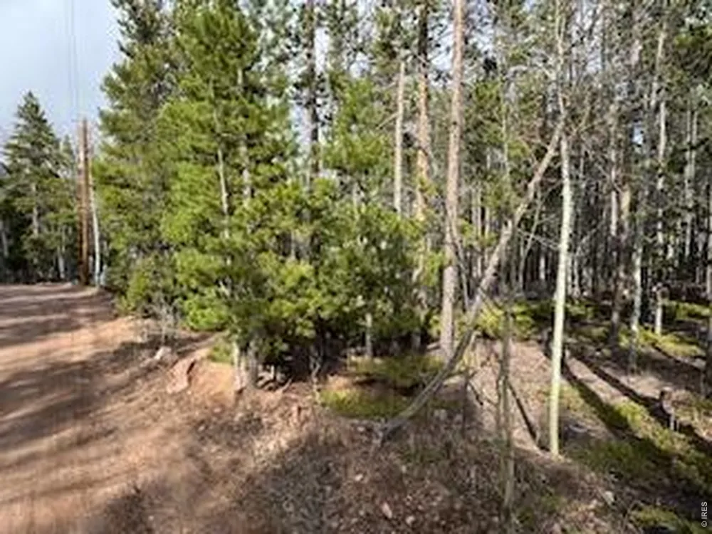 2581 Shoshoni Drive Red Feather Lakes, CO 80545