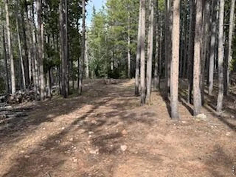2581 Shoshoni Drive Red Feather Lakes, CO 80545