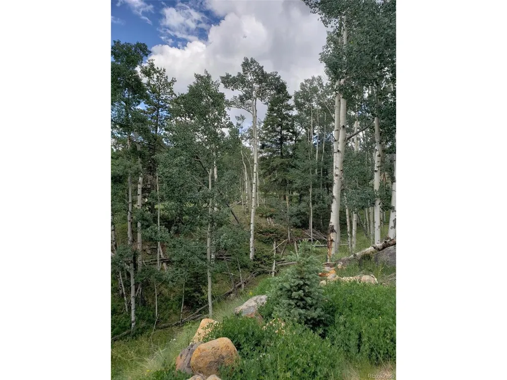 10th Street Jasper, CO 81144