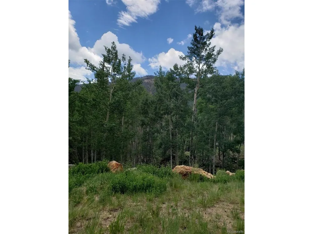 10th Street Jasper, CO 81144