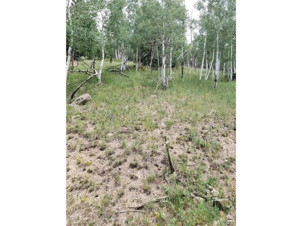 10th Street Jasper, CO 81144