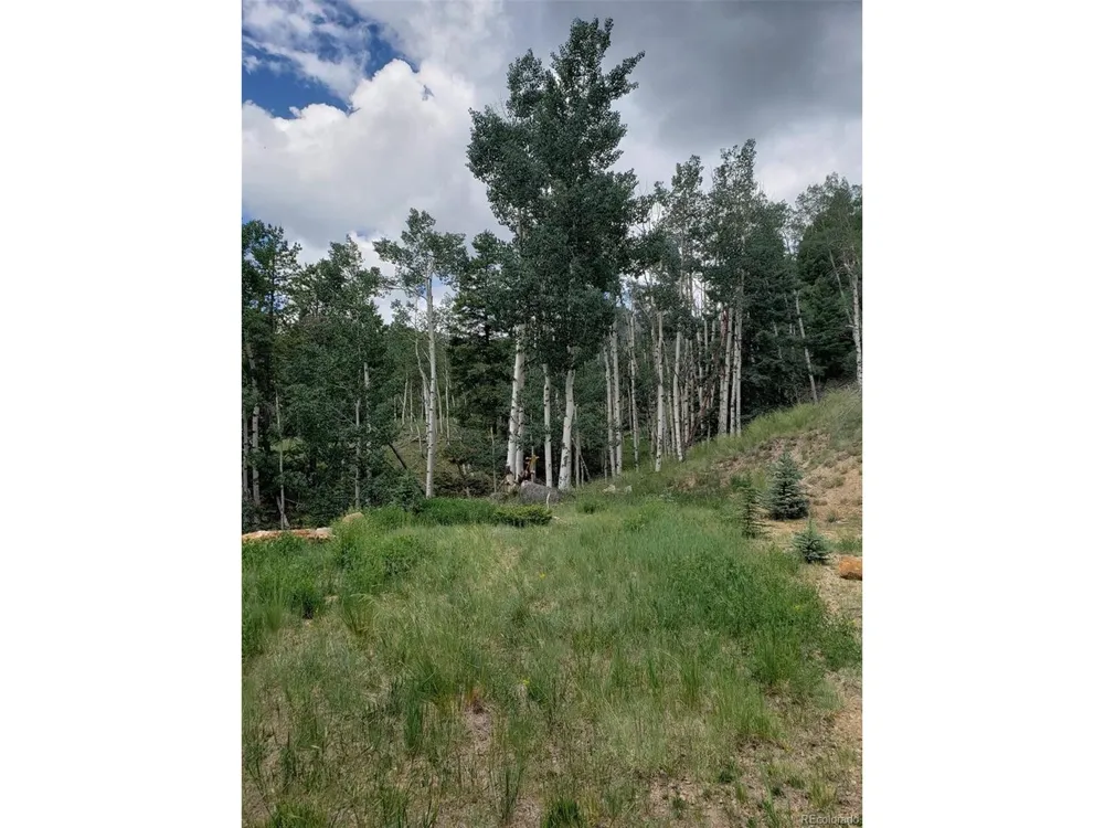 10th Street Jasper, CO 81144