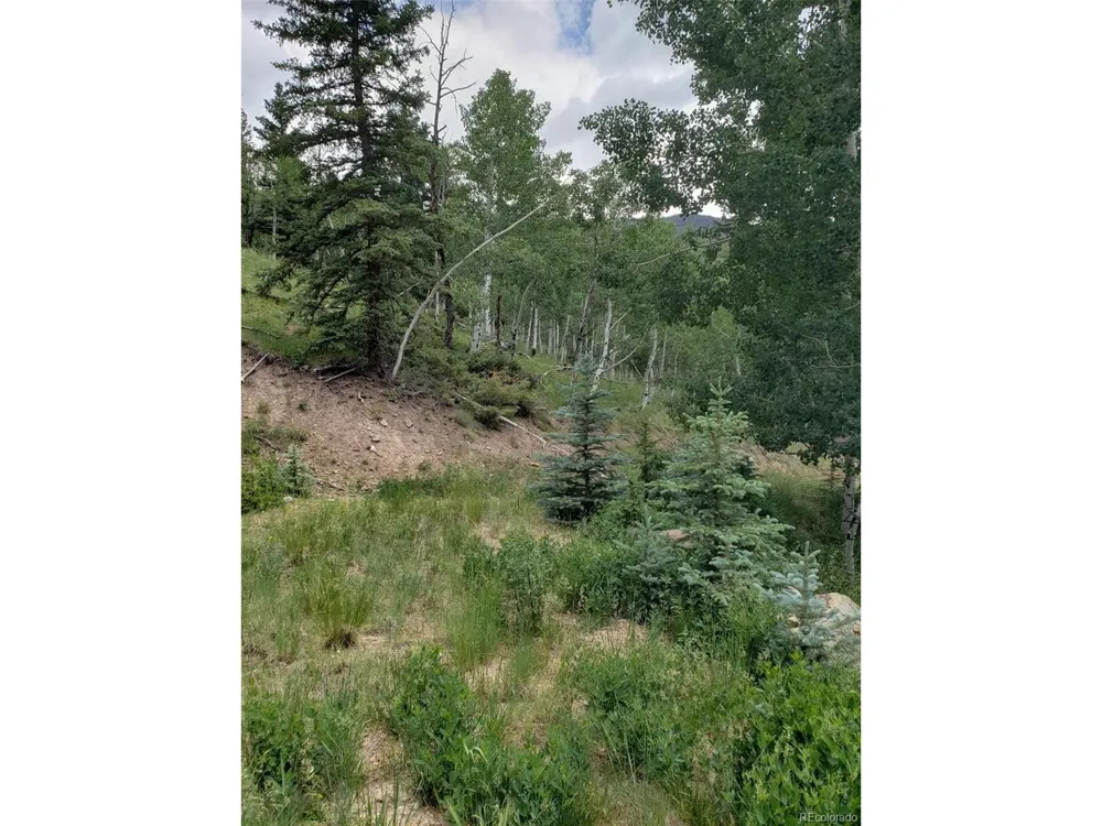 10th Street Jasper, CO 81144