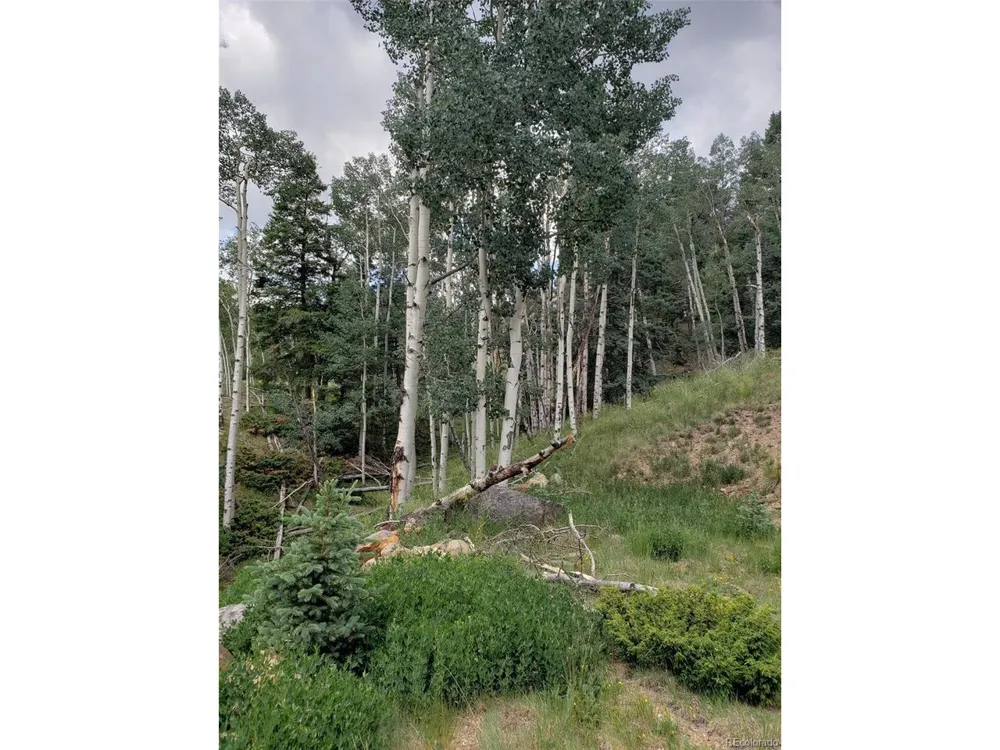 10th Street Jasper, CO 81144