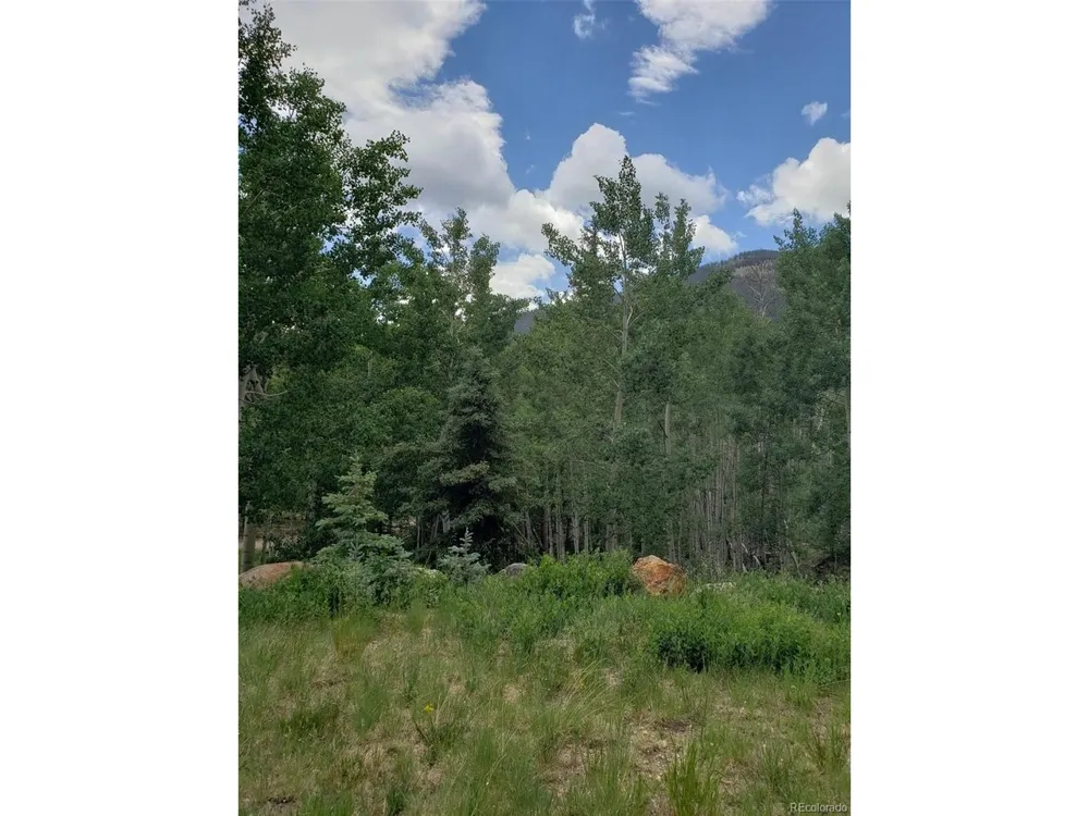 10th Street Jasper, CO 81144