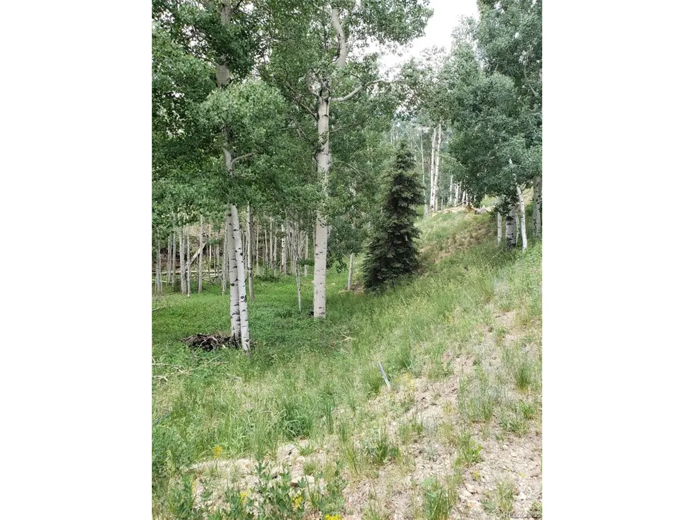 10th Street Jasper, CO 81144
