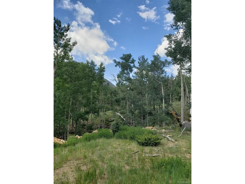 10th Street Jasper, CO 81144