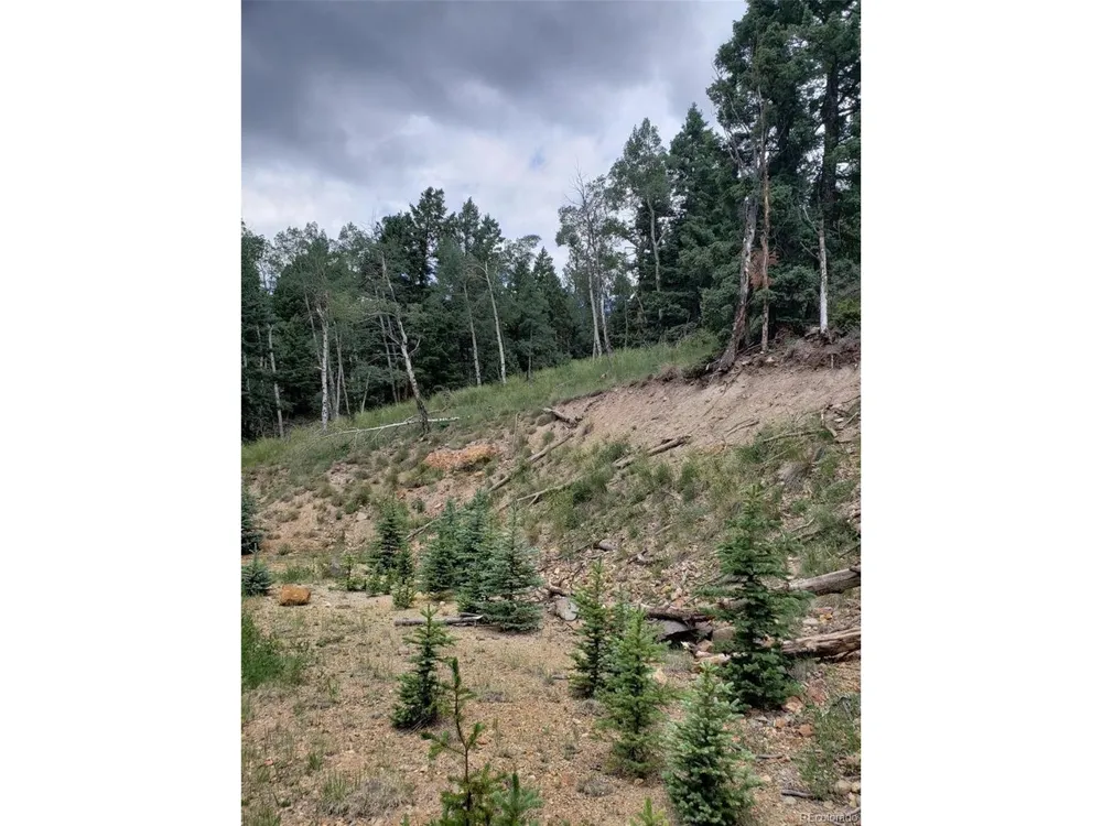 10th Street Jasper, CO 81144
