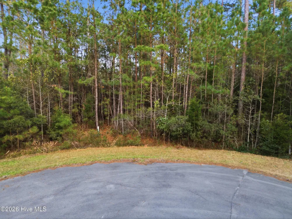 121 Mason Lane Merritt, NC 28556