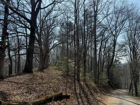 Lot 1 & 2 Sec C Boot Hill La.