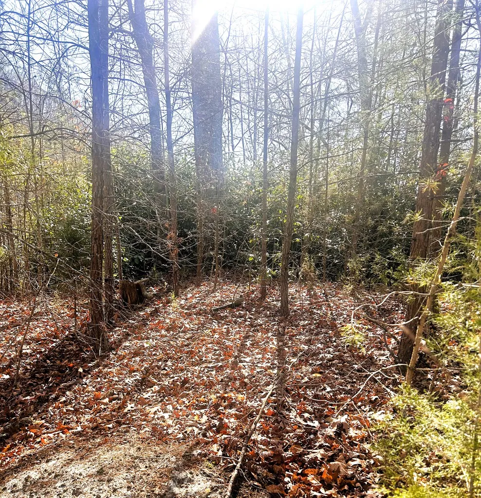 Silverado Trail Whittier, NC 28789