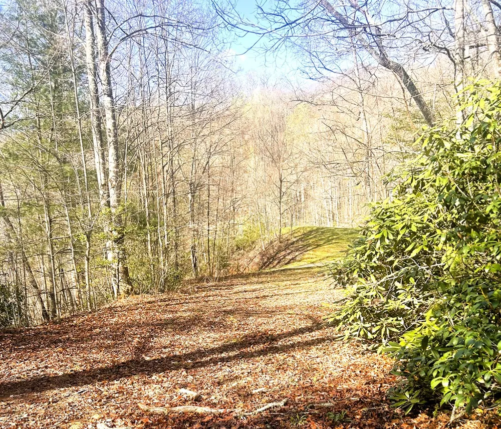 Silverado Trail Whittier, NC 28789