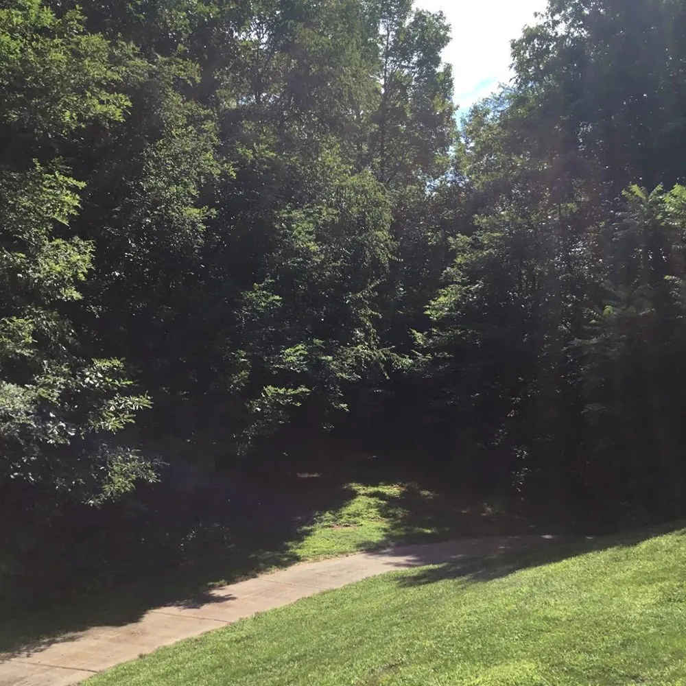 Silverado Trail Whittier, NC 28789