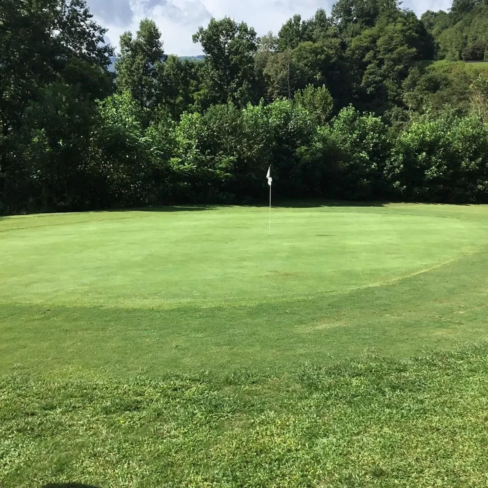 Silverado Trail Whittier, NC 28789