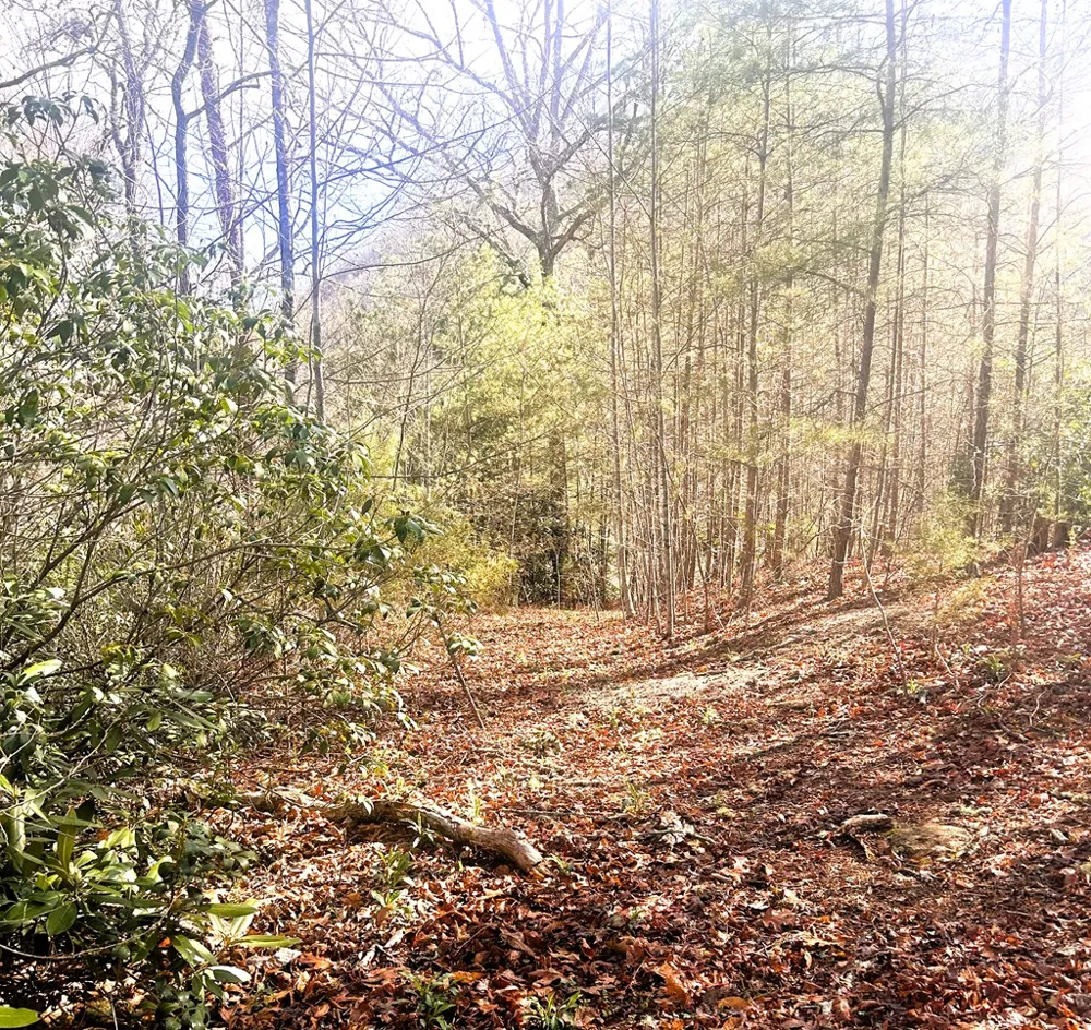 Silverado Trail Whittier, NC 28789