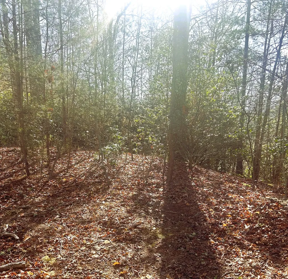 Silverado Trail Whittier, NC 28789