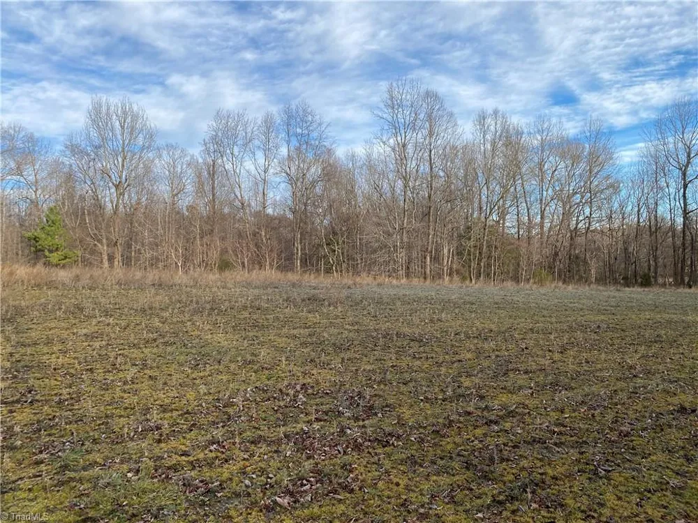 5724 Frieden Church Road McLeansville, NC 27301