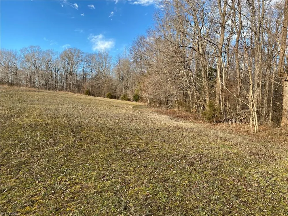 5724 Frieden Church Road McLeansville, NC 27301