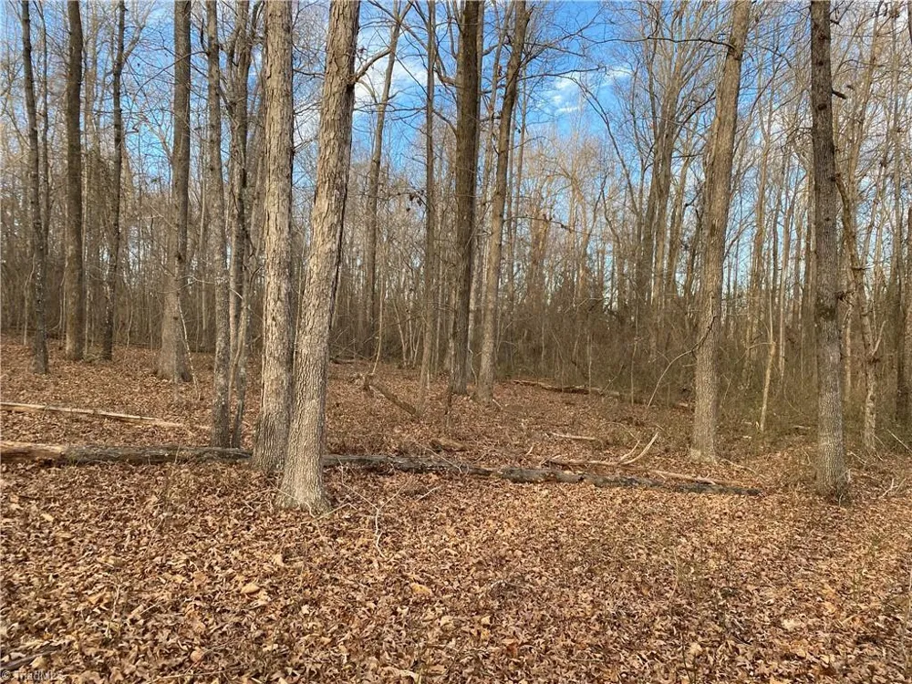 5724 Frieden Church Road McLeansville, NC 27301