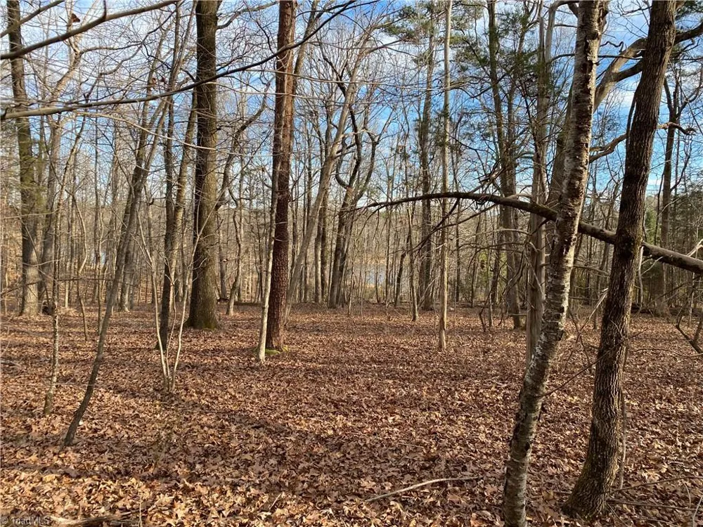 5724 Frieden Church Road McLeansville, NC 27301